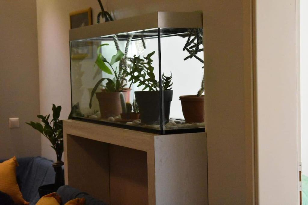 Central Apartment Athènes Extérieur photo
